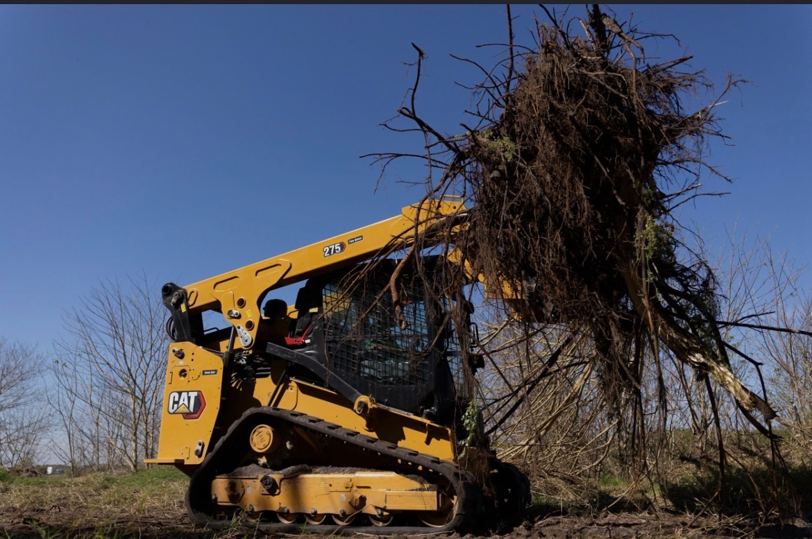Land Clearing in Central Florida