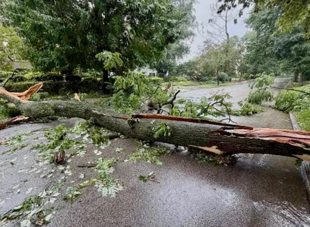 Storm Cleanup in Central Florida
